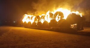 Colonia Avellaneda: Tomaron fuego rollos de alfalfa que eran trasladados en un carretón