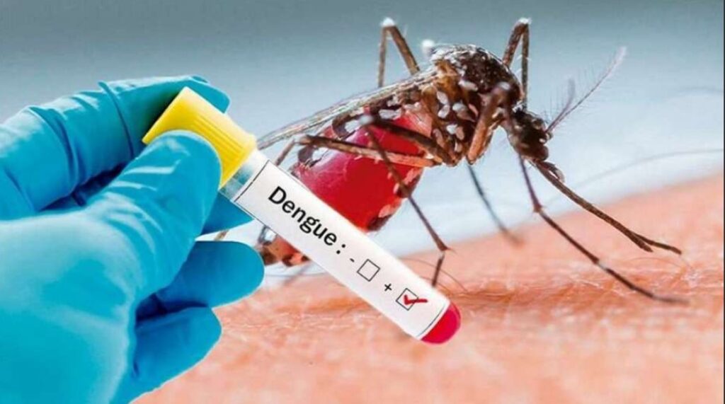 Salud delinea acciones interinstitucionales para abordar la situación del dengue en la provincia
