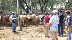 En Villaguay finaliza este jueves el ciclo de capacitación a ganaderos