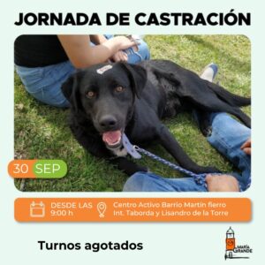 JORNADA DE CASTRACIÓN DE PERROS Y GATOS