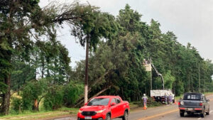 Enersa: Por tercera vez, un fuerte temporal volvió a afectar el suministro eléctrico en el centro-norte de Entre Ríos