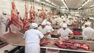 Productores advierten por una caída considerable en el consumo de carne vacuna