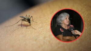 Dengue: Se detectaron 11 febriles durante un operativo en calle Segundo Sombra