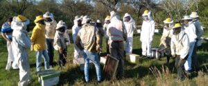 Nación y provincia trabajan en perfeccionar las salas de extracción de miel para mejorar su calidad