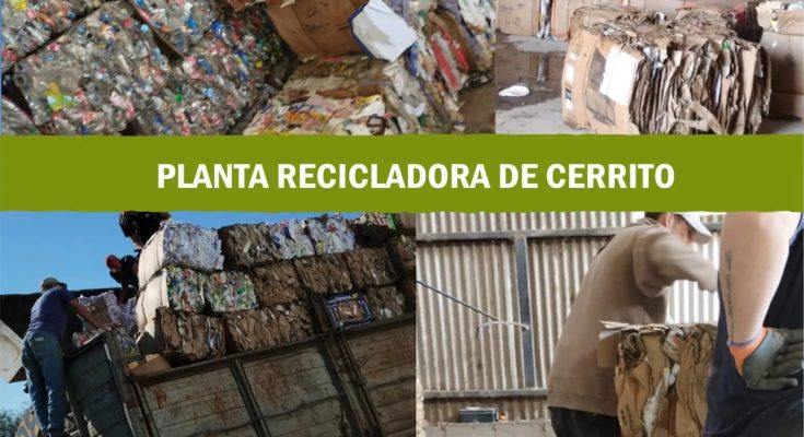 Municipalidad de Cerrito: Día Mundial del Reciclador “Recicladores, los profesionales del cuidado”