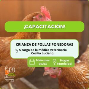 Capacitación en crianza de de pollas ponedoras