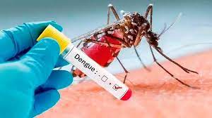 Siguen en aumento los casos de dengue en Entre Ríos