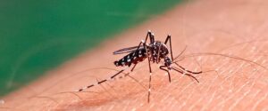 Salud provincial confirmó el fallecimiento de un paciente con dengue