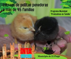 EL PINGO – Programa «Producimos en familia»