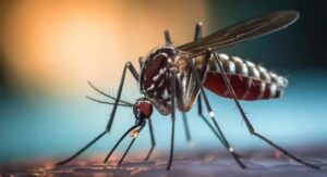 Brote histórico de dengue en el país: Ya son 238 los fallecidos y hay más de 333 mil casos