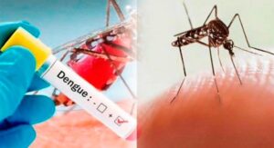 Dengue: Revelan quiénes tienen más chances de contagiarse por segunda vez