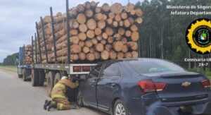 Automovilista chocó contra el acoplado de un camión cargado con troncos