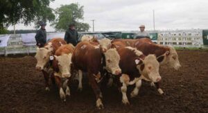 Federación Agraria advierte por deterioro de los números del sector productivo