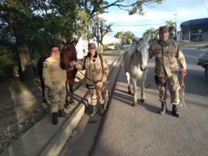 PARANÁ – Con la ayuda de cámaras de seguridad, se logró rescatar dos caballos