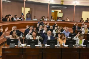 Diputados justicialistas rechazan la decisión de Kueider