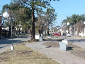 Solari argumentó sobre el corte de árboles en calle San Martín “Se renovará todo el lugar”