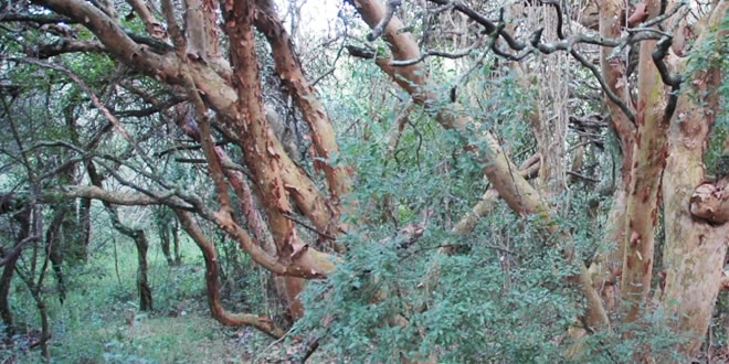 Entre Ríos fortalece los programas de manejo de áreas naturales protegidas