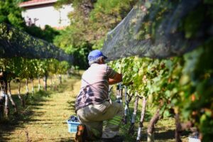 Entre Ríos impulsa la calidad turística en bodegas y establecimientos productivos