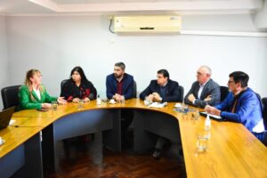 Trabajo en Comisión: El Senado avanzó con los pedidos de acuerdo para cargos en el STJ y el CGE