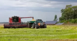 El Arroz Entrerriano será marca provincial: buscan precio diferencial por su calidad