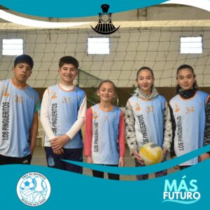 EL PINGO – Taller de Voley Juvenil