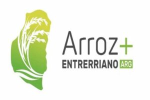 Se lanzará el sello de calidad «Arroz Entrerriano»