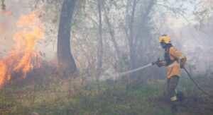 Incendio forestal en Islas del Delta: Santa Fe y Entre Ríos unen fuerzas para combatir el fuego