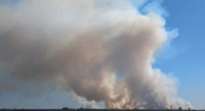 Se registra un incendio en islas de Santa Fe y se observa desde Paraná