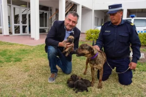 Incorporaron nuevos cachorros a la Policía de Entre Ríos