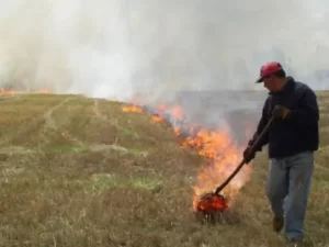 Comenzó a regir la veda para la quema de pastizales de la temporada estival