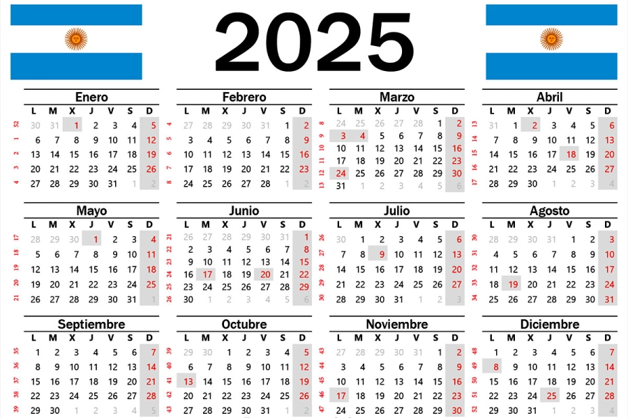 Calendario oficial de feriados 2025: Cuándo habrá fines de semana largos