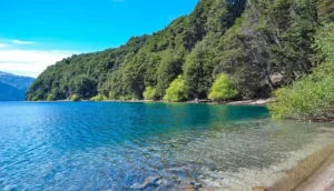 El ingreso de turistas al país volvió a caer