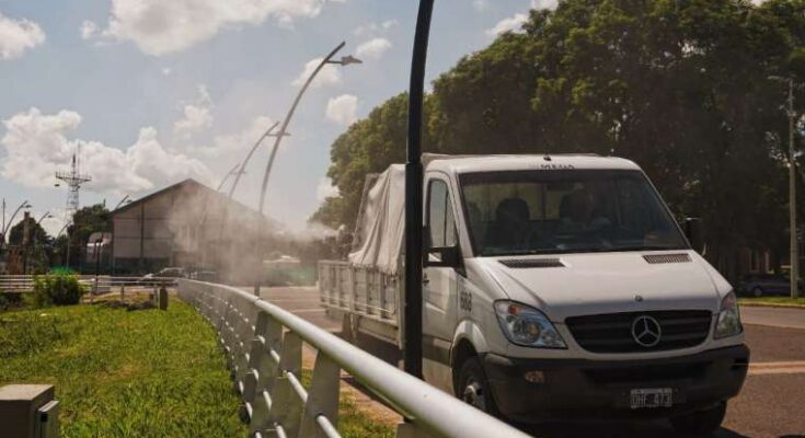 Invasión de mosquitos en Paraná: La Municipalidad fumiga en diversas zonas