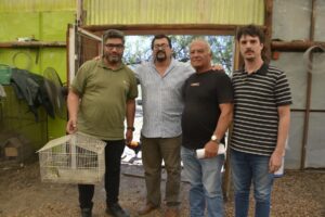 Personal de Recursos Naturales traslado un ejemplar de Cardenal Amarillo de Interlagos a Temaiken