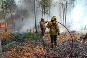 Brigadistas controlan los incendios desatados en Concordia