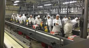 Granja Tres Arroyos reduce faena y salarios para evitar despidos masivos en medio de su crisis